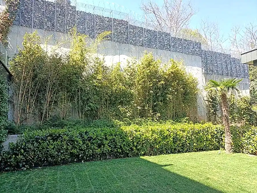 Küçük bahçe düzenlemesi örneği