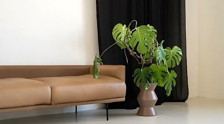Yapay salon çiçekleri ile evinizi güzelleştirin